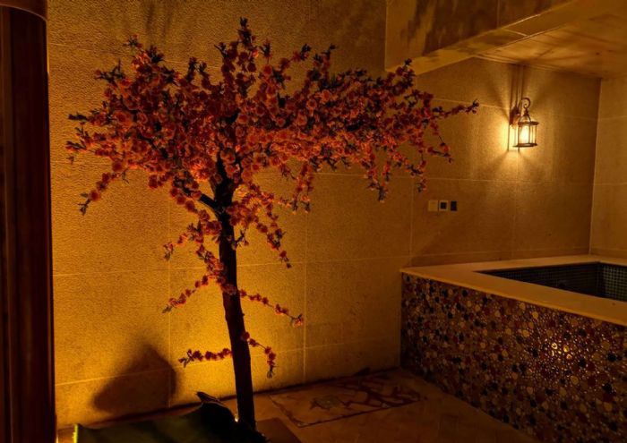 ������������װ��Ч��ͼ