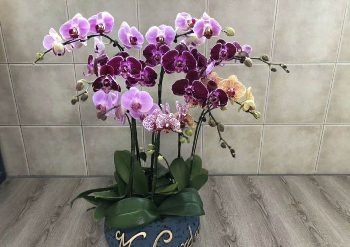 �Ͼ�������С��װ��Ч��ͼ