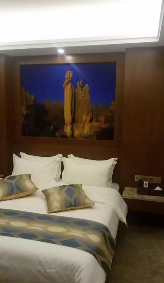 �������ƺ�װ��Ч��ͼ