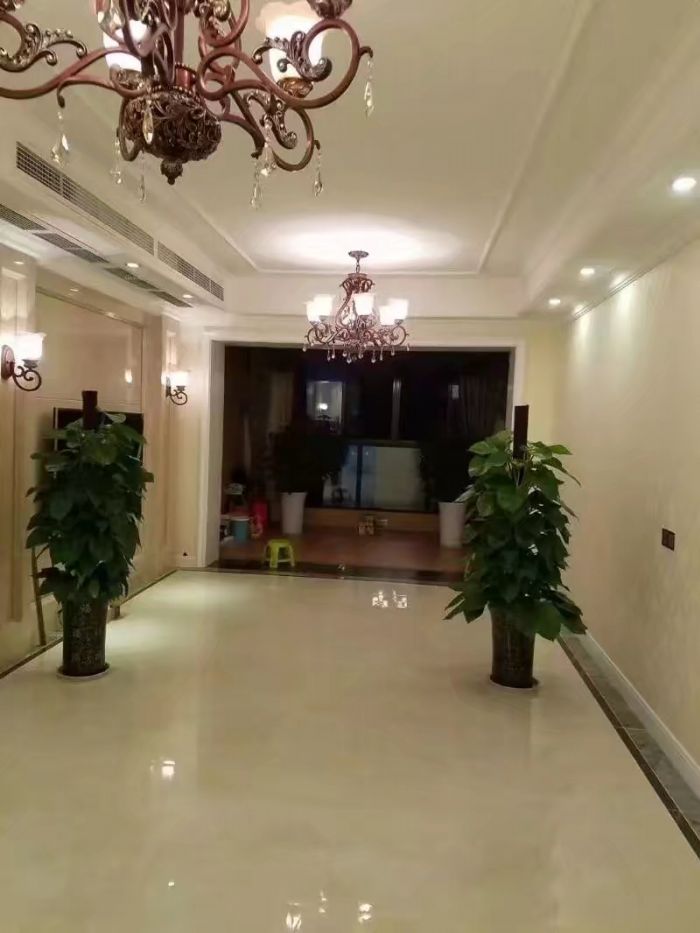 �ɶ�����Ӣ������װ��Ч��ͼ