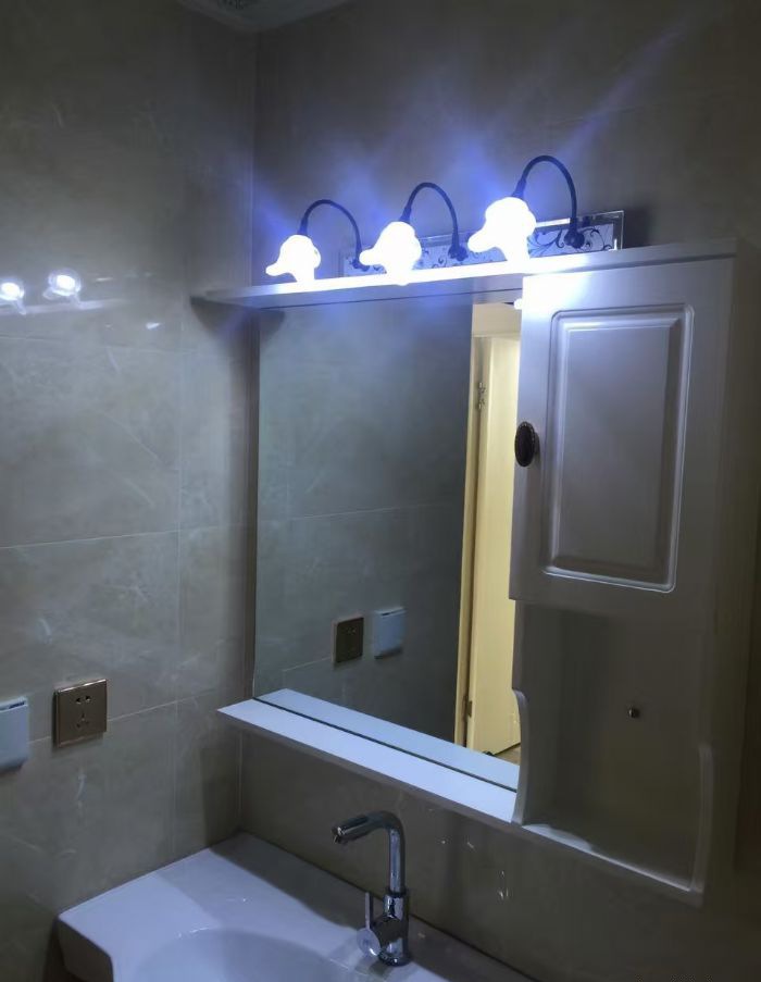 ���������װ��Ч��ͼ