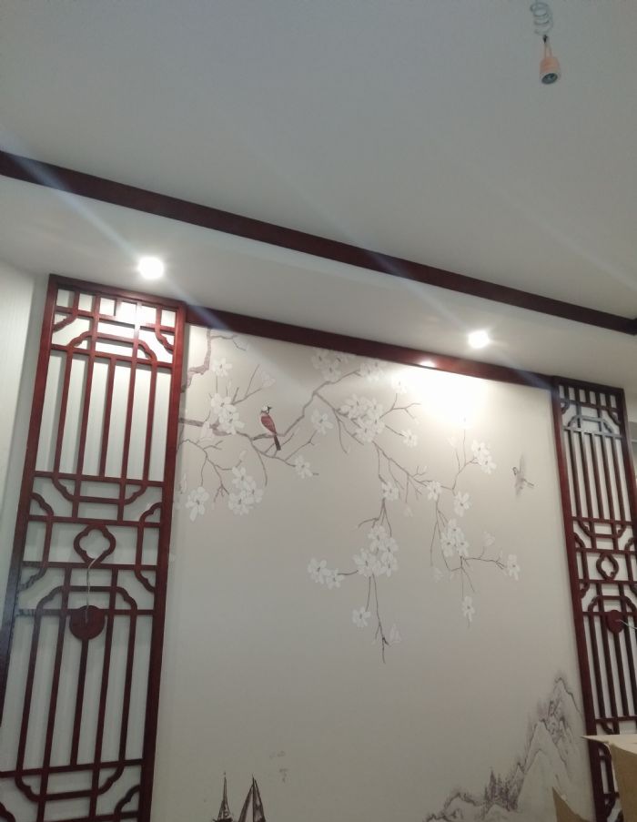 ��������ҫ���װ��Ч��ͼ