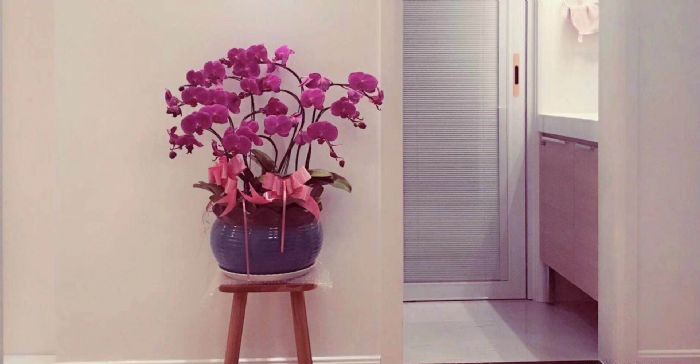 上海桂林苑装修效果图