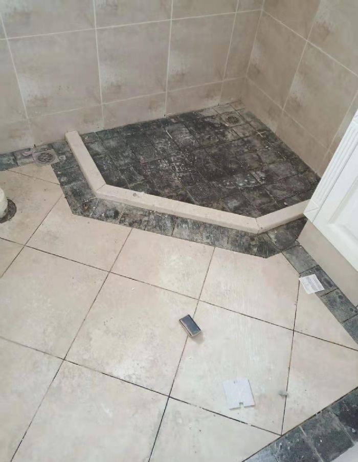 �麣��֦��װ��Ч��ͼ