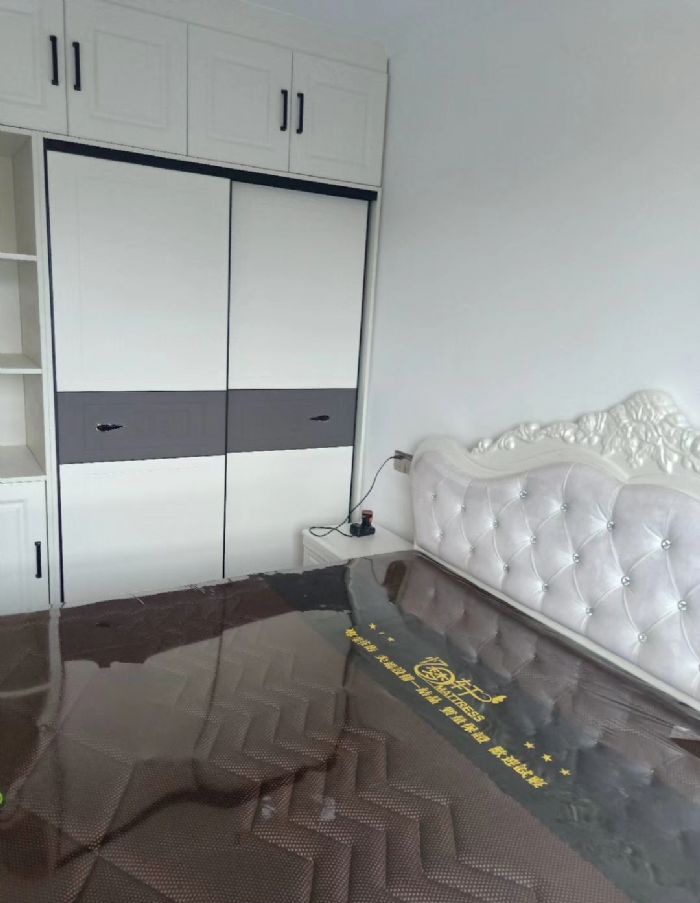 ������������װ��Ч��ͼ