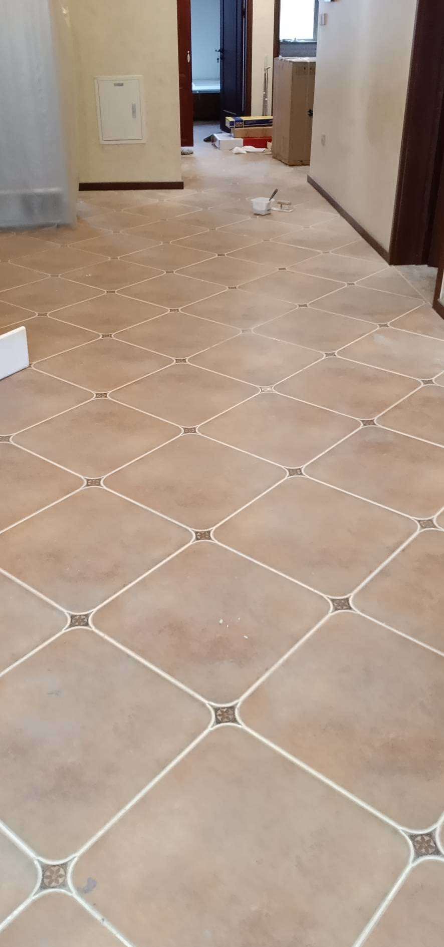 ���������Ŷ����װ��Ч��ͼ